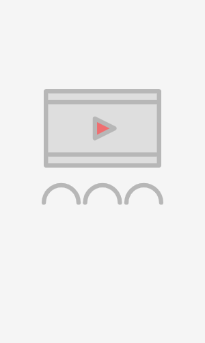 狗狗的疯狂假期